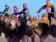 “Тэмээн дээрээс наран ойрхон” өвлийн их наадам Дундговь аймагт болно