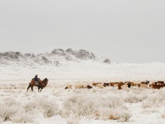 Нэгдүгээр сарын цаг агаарын ерөнхий төлөв