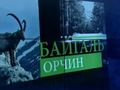 Зэрлэг амьтдын тархац нутагт суурьшлын бүс нэмэгдсэнээр тэдний эрхийг зөрчиж байна