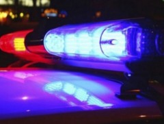 ЦЕГ: 2025 онд 10.5 тонн хуурамч архи, вискиг устгалд оруулсан 