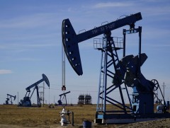 Салбар хоорондын уялдаагүй хуулиуд зарим хувийн хэвшлийн үйл ажиллагааг хязгаарлаж байна