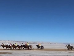 Хориглосон хугацаанд хурдан морины уралдаан зохиосноос болж нэг хүүхэд амь насаа алджээ