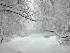 Цасан бүрхүүлийн хэмжээг өмнөх арван хоногтой харьцуулахад 5 хувиар буурсан байна