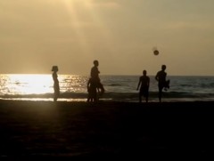 Далайн амьтанд хатгуулсан иргэн даатгалгүйн улмаас эмнэлгийн бүх зардлыг хувиасаа гаргажээ 