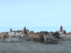 Адуучин залуус өв соёлоо өвлөж, түгээн дэлгэрүүлэхэд чухал гүйцэтгэж байна