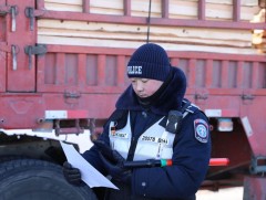 Мод, модон материалын гарал үүслийн гэрчилгээг цахим хэлбэрээр шалгаж эхэллээ