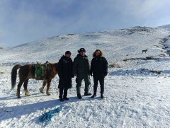 Байгаль хамгаалагчид бугыг аюулгүй бүс рүү шилжүүлжээ