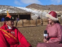 А.Лундаажанцан: Ямаан сүрэг өсгөхөд арчилгаа бага, ашиг шим ихтэй байдаг