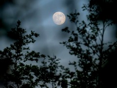 ЦАГ АГААР: Улаанбаатарт шөнөдөө 22 хэм хүйтэн