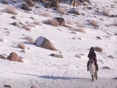 Завхан аймгийн Тэлмэн суманд мал аж ахуйн өвөлжилт хүндрээгүй байна