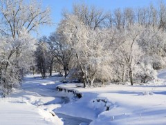 УЦУОШГ: Ихэнх нутгаар хүйтний эрч суларна