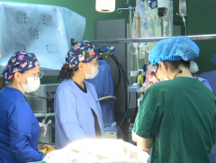 Амьгүй донороос эрхтэн шилжүүлэн суулгах эмчилгээ зогсонги байдалд оржээ