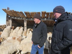 Мал үржүүлэг, технологийн ажил үйлчилгээний үйл ажиллагаатай танилцлаа