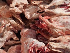 Сонгинохайрхан дүүрэгт нөөцийн махны өргөтгөсөн худалдааг 3 байршилд зохион байгуулна