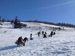 Манзуширын аманд биотехникийн арга хэмжээ хэрэгжүүлжээ