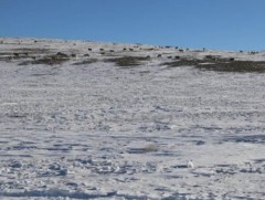 Цасан бүрхүүлийн хэмжээг өмнөх арван хоногтой харьцуулахад 11 хувиар буурсан байна