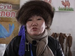 Эмэгтэйчүүдийн хөдөлмөр эрхлэлтийн түвшин 48.6 хувьтай байна 