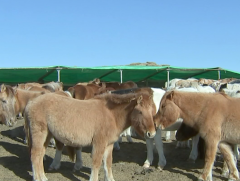 Малыг эдийн засгийн эргэлтэд оруулах нь зүй бус хорогдлыг бууруулахад ач холбогдолтой