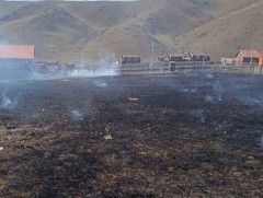  Он гарснаас хойш нийслэл хотод шар өвсний 11 удаагийн шар өвсний түймэр бүртгэгджээ 