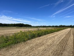 Тариалангийн талбайд ойн зурвас байгуулах ажлыг дамжуулан зээлийн үйлчилгээгээр гүйцэтгүүлнэ 