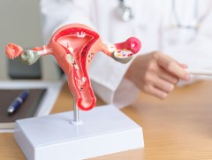 Умайн хоргүй хавдар хүндэрсэн тохиолдолд умай авах мэс засал хийдэг