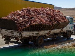 Хаягдал ясаар органик бордоо, тэжээл, онгоцны дизель түлшний түүхий эд үйлдвэрлэж байна 