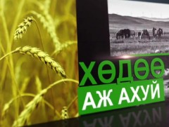 ЖДҮ-ийг хөгжүүлэх сангийн зээлийн эргэн төлөлтийн хугацааг 2 жилээр сунгаж 7 жил болгохоор судалж ..