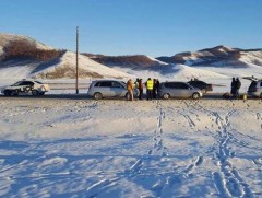Мал хулгайлах гэмт хэргийн улмаас учирсан 873 сая төгрөгийн хохирлыг нөхөн төлүүлжээ