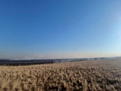 Хэнтий аймагт 2026 оны дөрөвдүгээр сарын байдлаар ой хээрийн 13 удаагийн түймэр гараад байна