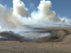 2025 онд шар өвсний түймэрт нийслэлийн 430 мянган га талбай өртсөн