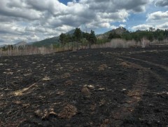 Ой, хээрийн түймрийн аюулын урьдчилсан зураглалыг гаргажээ 