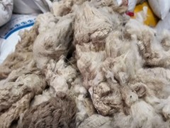 Дорнод аймагт нэг кг ноолуур 205 мянган төгрөгийн ханштай байна