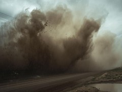 Шороон шуурга болон нөөлөг салхи ихэвчлэн ургамлан нөмрөггүй бүс нутагт болдог 
