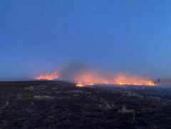 Ой хээрийн түймрийн аюулаас сэрэмжлүүлж байна