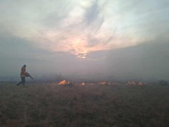 Ой, хээрийн 3 түймрийг бүрэн унтрааж, 4 түймрийг цурамд орууллаа