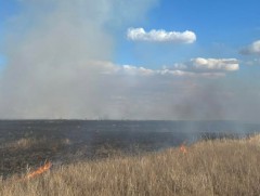 Хээрийн 4 түймрийг унтраах ажиллагааг зохион байгуулж байна