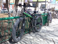 18 нас хүрсэн А үнэмлэхтэй зорчигчид суррон унаж, хөдөлгөөнд оролцох эрхтэй