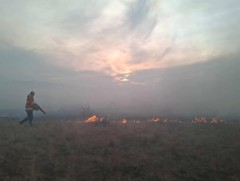 Иргэн та ой хээрийн түймрээс урьдчилан сэргийлээрэй