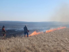 Ой, хээрийн 52 удаагийн гал түймрийн дуудлага бүртгэгдлээ