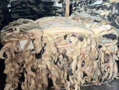 Нийслэлд бүртгэлтэй арьс, шир боловсруулах 22 үйлдвэр байна 