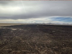 Хээрийн түймрүүдийг бүрэн унтраалаа