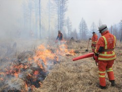 Улсын хэмжээнд 48 удаагийн ой, хээрийн түймэр бүртгэгдэж, 229 мянган га талбай өртжээ