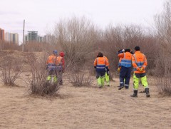 Туул голын ай савыг цэвэрлэж, 176.5 тонн хог хаягдлыг хогийн цэгт зөөвөрлөлөө