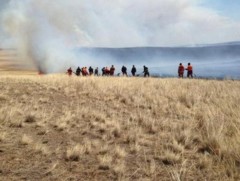 Сүхбаатар аймагт бүртгэгдсэн 3 хээрийн түймрийг унтраахаар ажиллаж байна