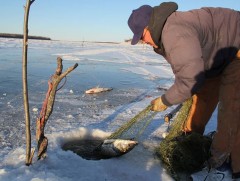 Зургаадугаар сарын 15-ны өдрийг хүртэл загас агнахыг хориглоно