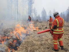 Өнгөрсөн 7 хоногт ой, хээрийн 11 удаагийн дуудлага бүртгэгджээ