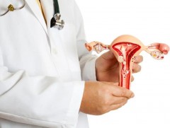 2025 онд умайн хүзүүний хорт хавдраар 550 хүн оношлогдсоноос 171 иргэн амь насаа алджээ 