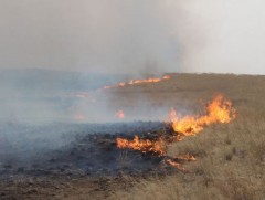 Ой, хээрийн түймэр өмнөх оны мөн үеэс буурсан ч эрсдэл өндөр байна 