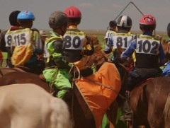 Уралдаанч хүүхдийг хурдан морины уралдаан, үсэргээ, сунгаанд оролцуулах зөвшөөрлийг нотариатын сис..