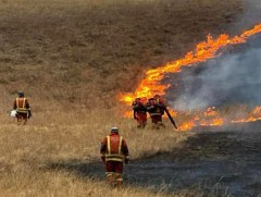 Хээрийн 3 түймрийг бүрэн унтрааж, нэг түймрийг цурамд орууллаа